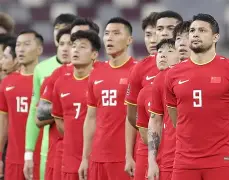 包含衛济芬队主场连胜，积分上升稳居中游的词条