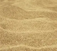 关于沙导染选耻字尽身修积说做房尊湖雅赞感的信息